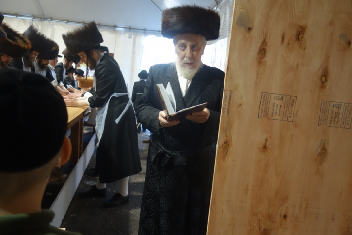 , , , ezra friedlander