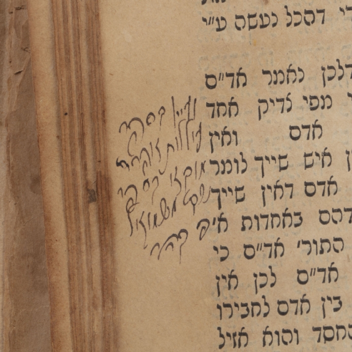 , , , ezra friedlander