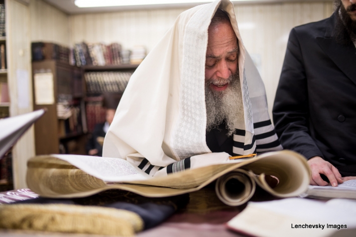, , , ezra friedlander