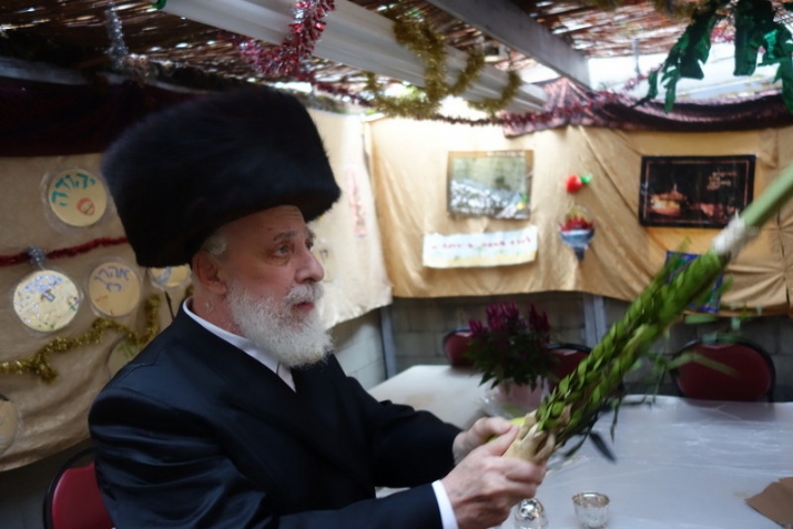 , , , ezra friedlander