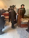 קעסטענבוים שליט