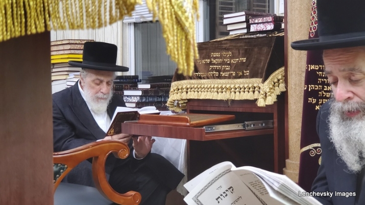 , , , ezra friedlander