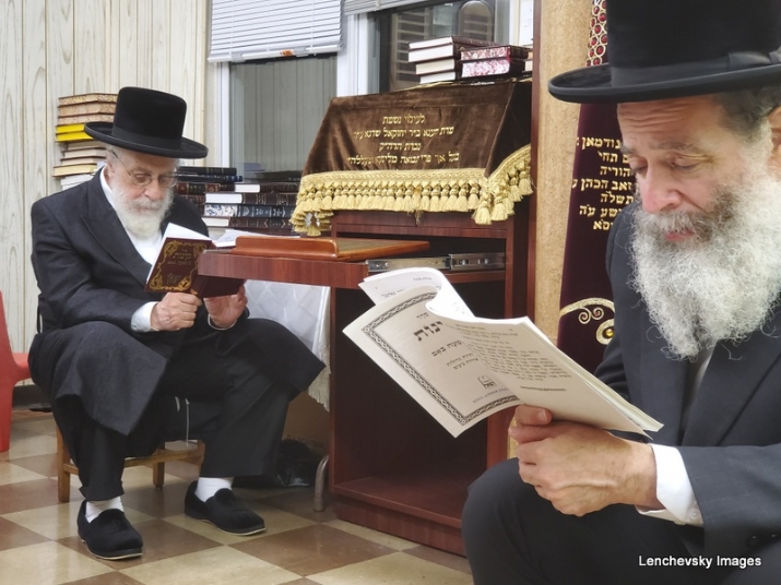 , , , ezra friedlander