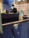 Liska 02042020, 2/4/2020
