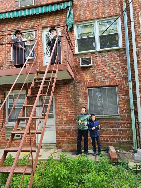 , , , ezra friedlander