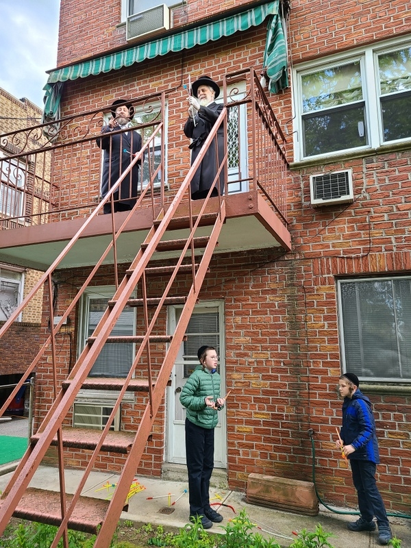 , , , ezra friedlander
