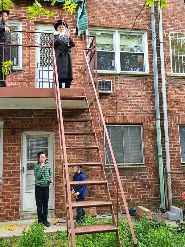 , , , ezra friedlander