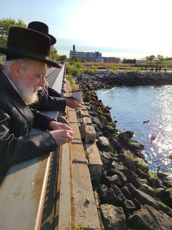 , , , ezra friedlander