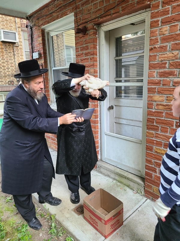, , , ezra friedlander