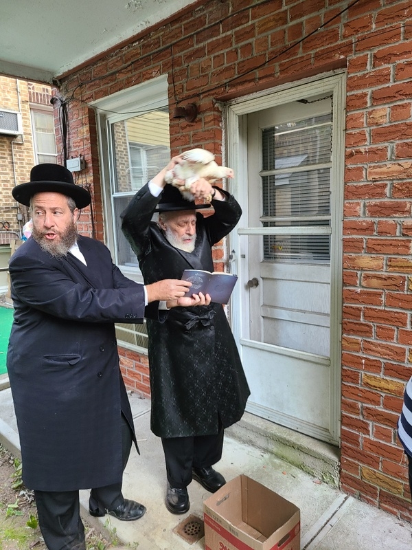 , , , ezra friedlander