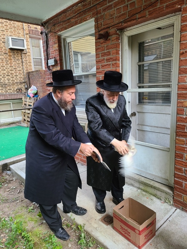 , , , ezra friedlander