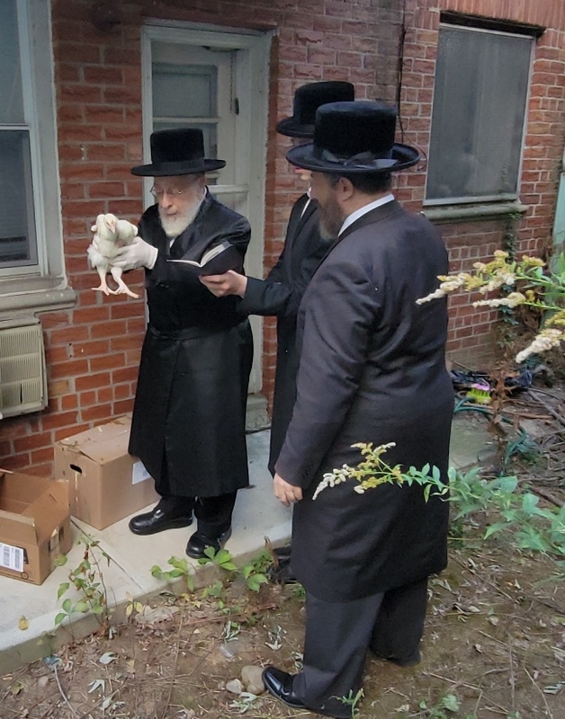 , , , ezra friedlander