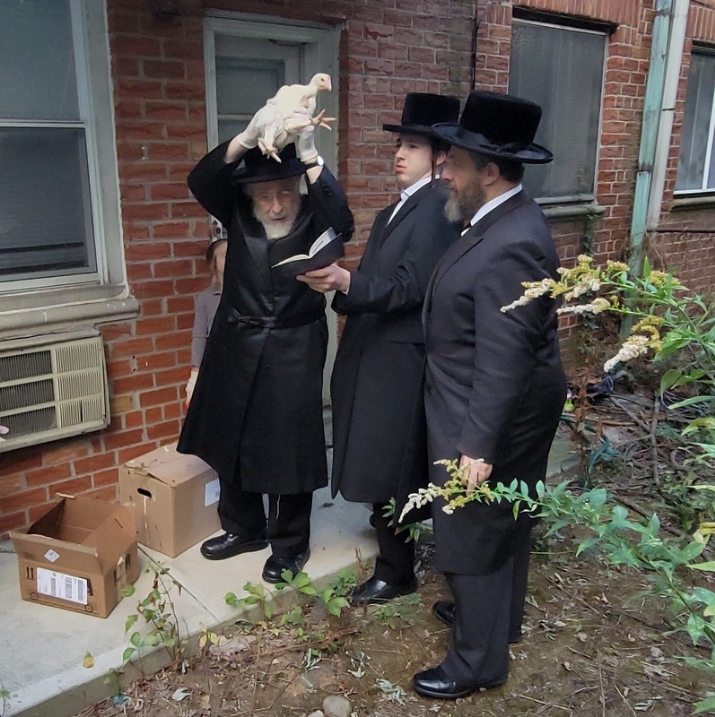 , , , ezra friedlander