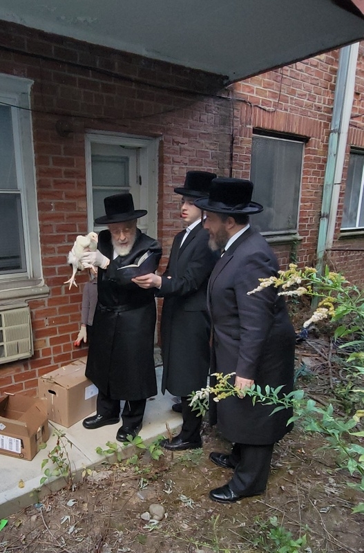 , , , ezra friedlander