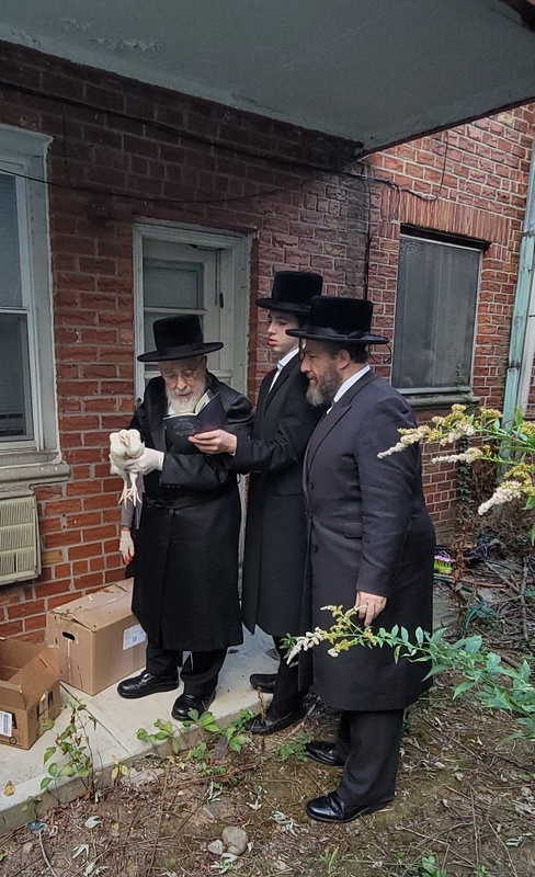 , , , ezra friedlander