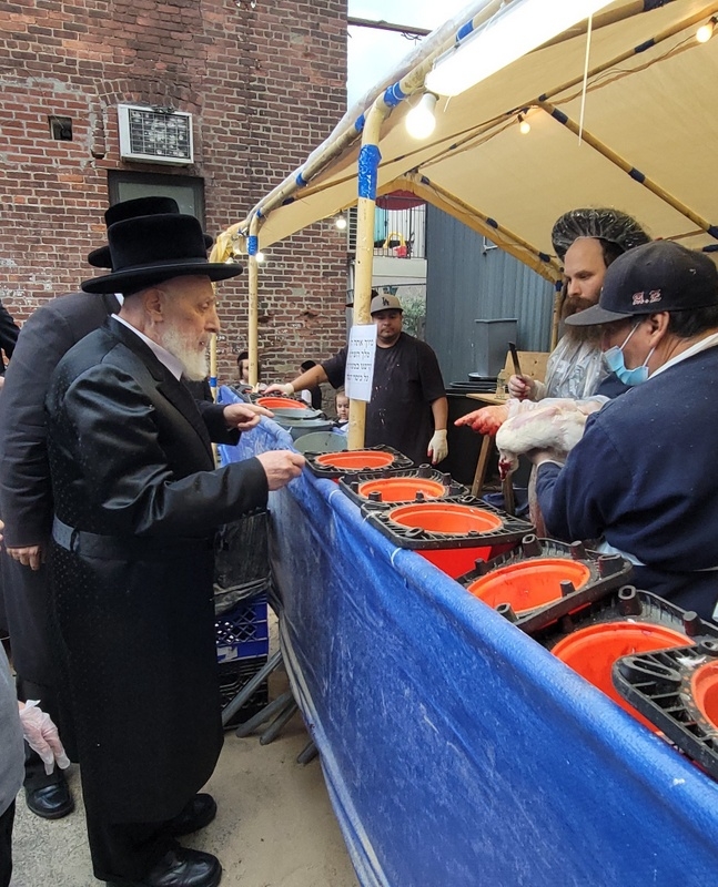 , , , ezra friedlander