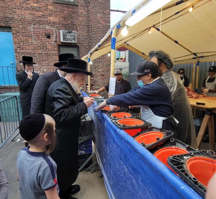 , , , ezra friedlander