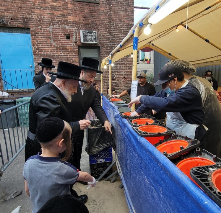 , , , ezra friedlander