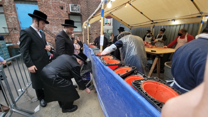 , , , ezra friedlander