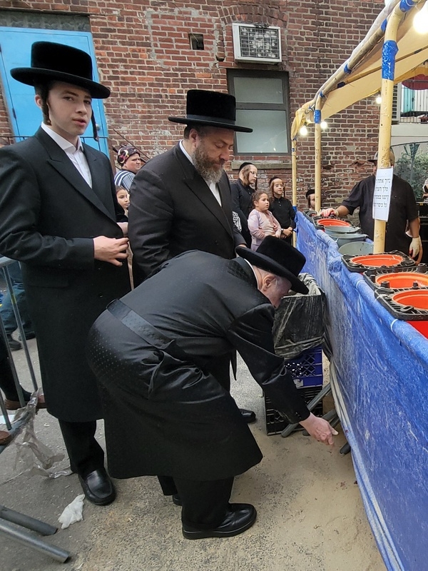 , , , ezra friedlander
