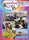 Der Blatt - Bilder Cover Page