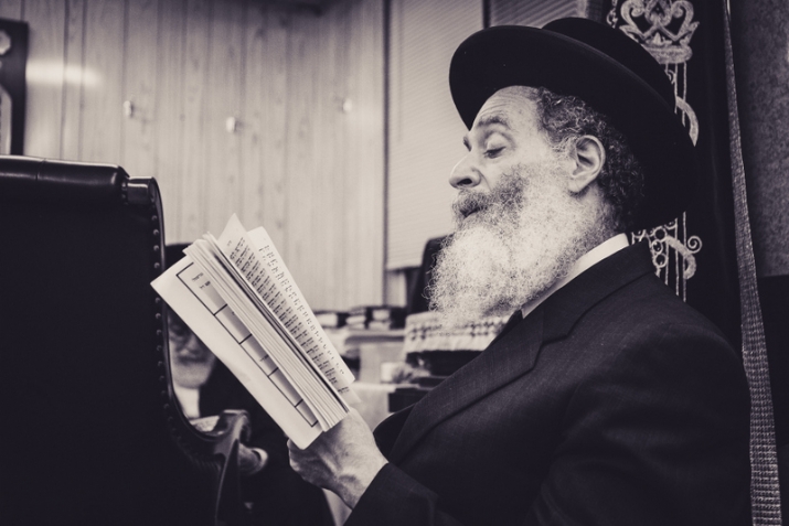 , , , ezra friedlander