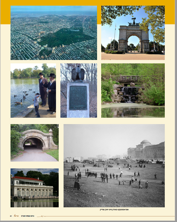 dee voch prospect park issue
