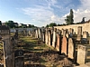 Matzeivos, 6/28/2021