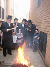 2008 פסח תשס״ח, 4/18/2017