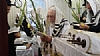 הושענא רבא תשע״ח, 10/11/2017