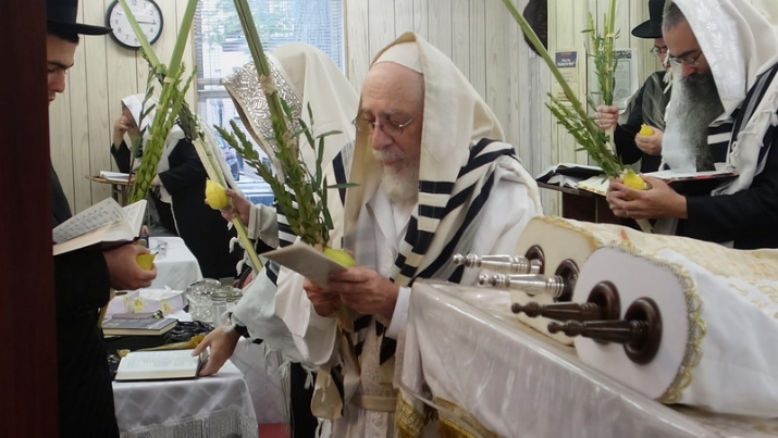 , , , ezra friedlander