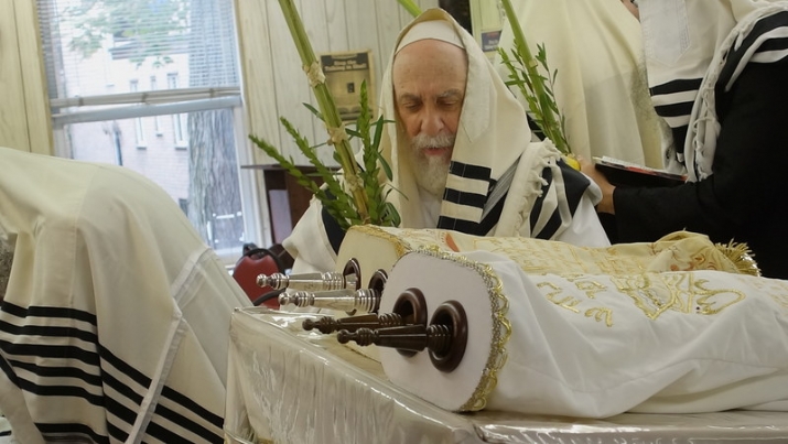 , , , ezra friedlander