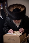 Pesach 5779, 4/19/2019