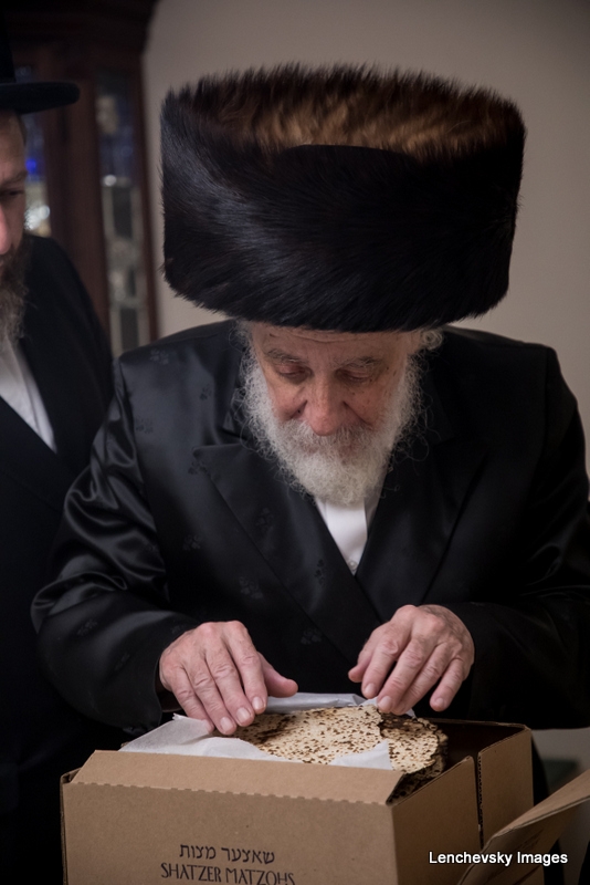 , , , ezra friedlander