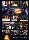The Boro Park View