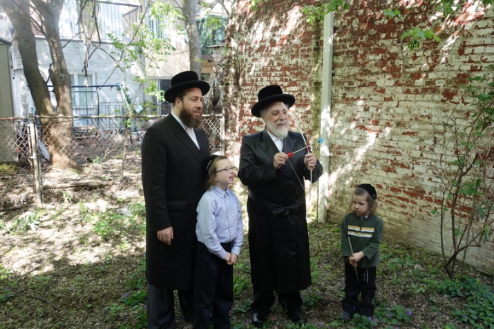 , , , ezra friedlander
