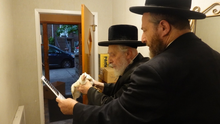 , , , ezra friedlander