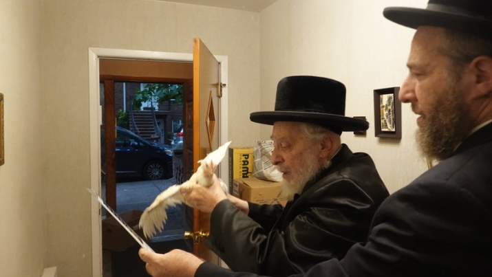 , , , ezra friedlander