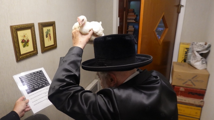 , , , ezra friedlander