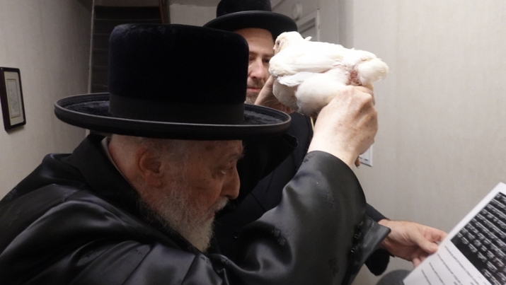 , , , ezra friedlander