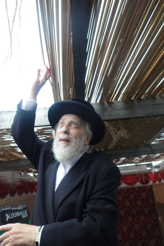 , , , ezra friedlander