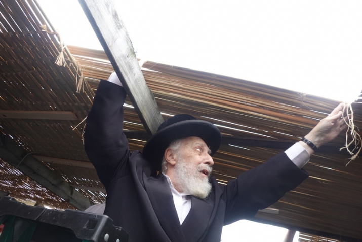 , , , ezra friedlander