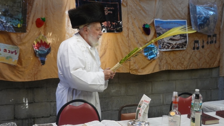 , , , ezra friedlander