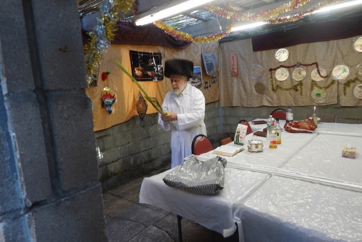 , , , ezra friedlander