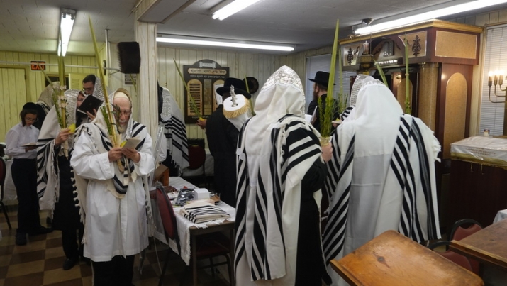 , , , ezra friedlander