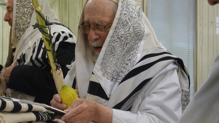 , , , ezra friedlander