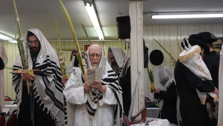 , , , ezra friedlander
