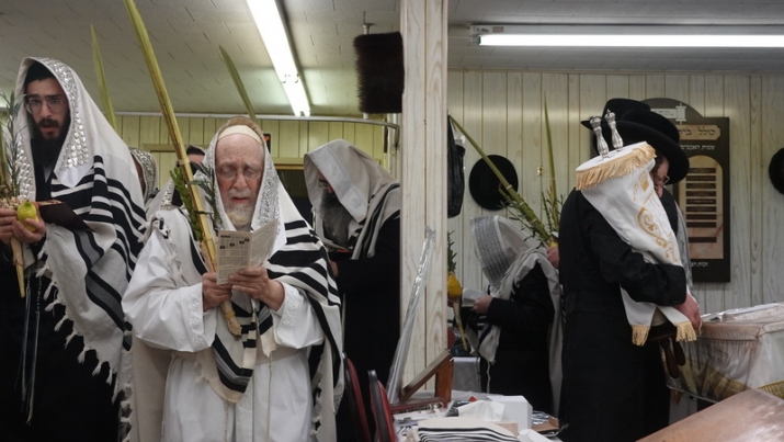 , , , ezra friedlander