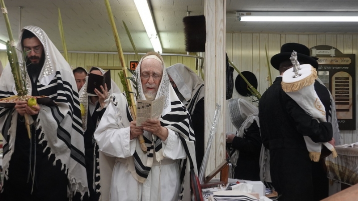 , , , ezra friedlander