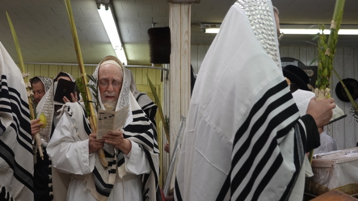 , , , ezra friedlander